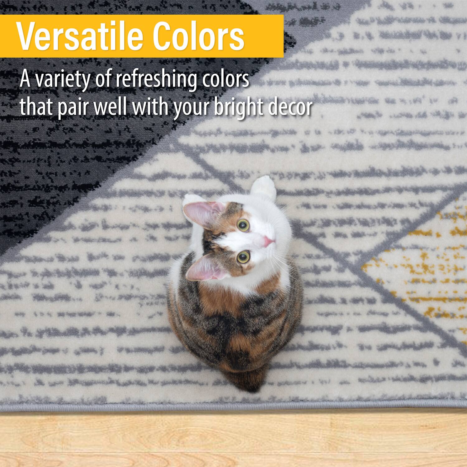 Versatile Colors  
A variety of refreshing colors that pair well with your bright decor
