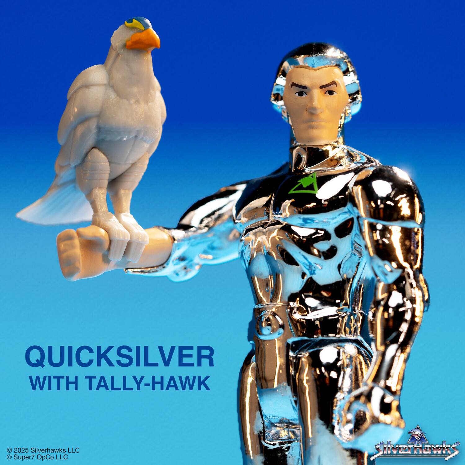 QUICKSILVER WITH TALLY-HAWK  
© 2025 Silverhawks LLC  
© Super7 OpCo LLC