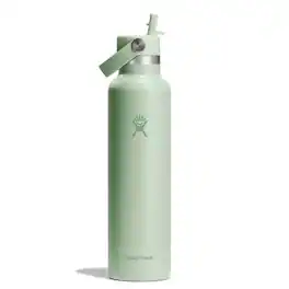 Hydroflask - 24 fl. oz. BPA Free Insulated Bottle - Aloe