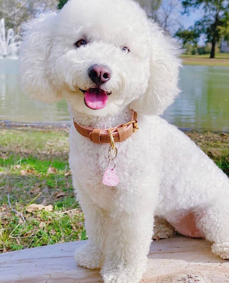 Left. PoisePup - Genuine Leather Dog Collar - Handmade, Adjustable & Soft - Brown | Light Pink.