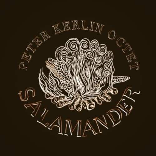 Peter Kerlin - Salamander   - COMPACT DISCS [CD] price history on PriceWatchPro
