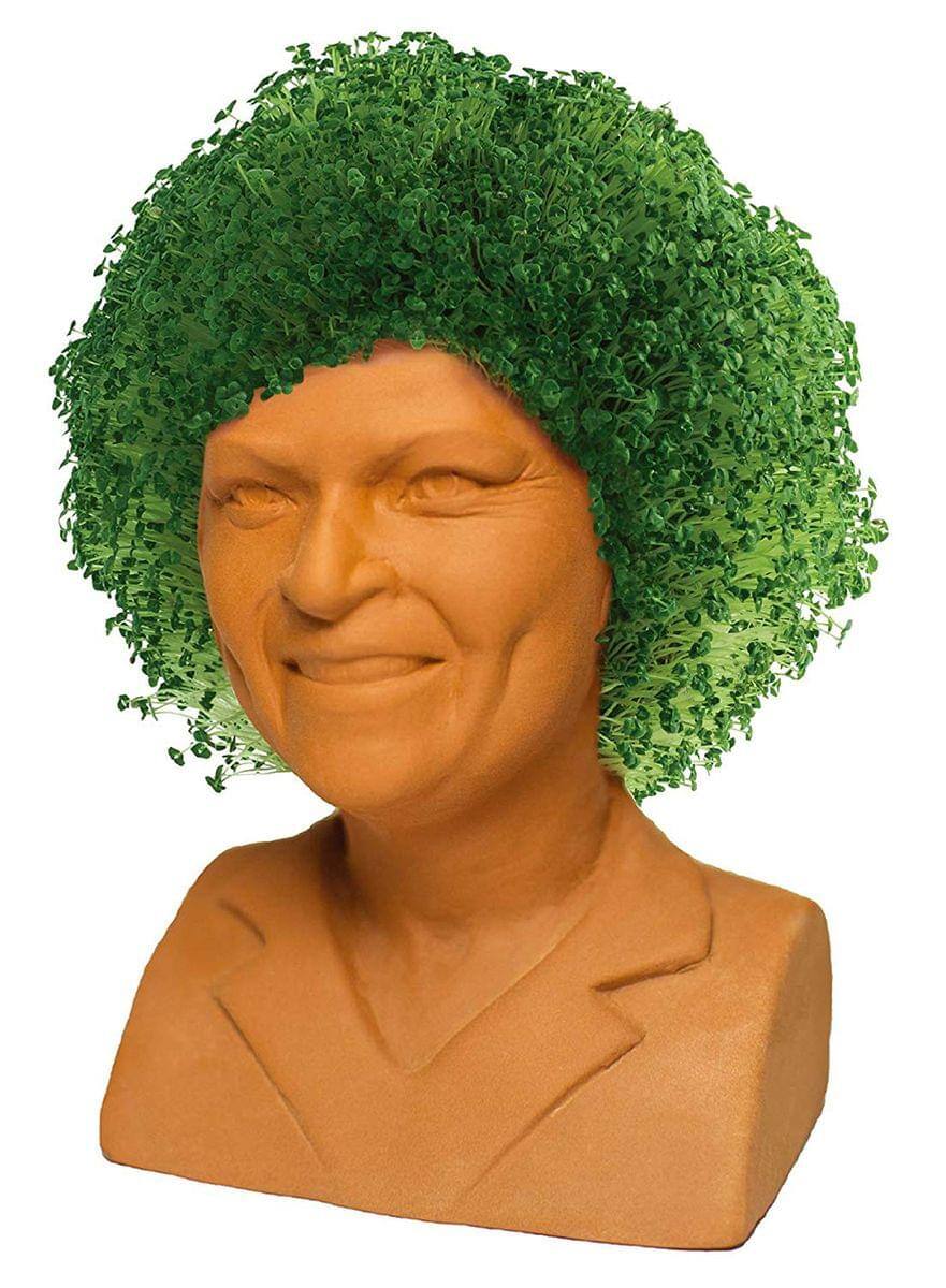 Front. Joseph Enterprises - Golden Girls Chia Pet Rose Decorative Pottery Planter - Green.