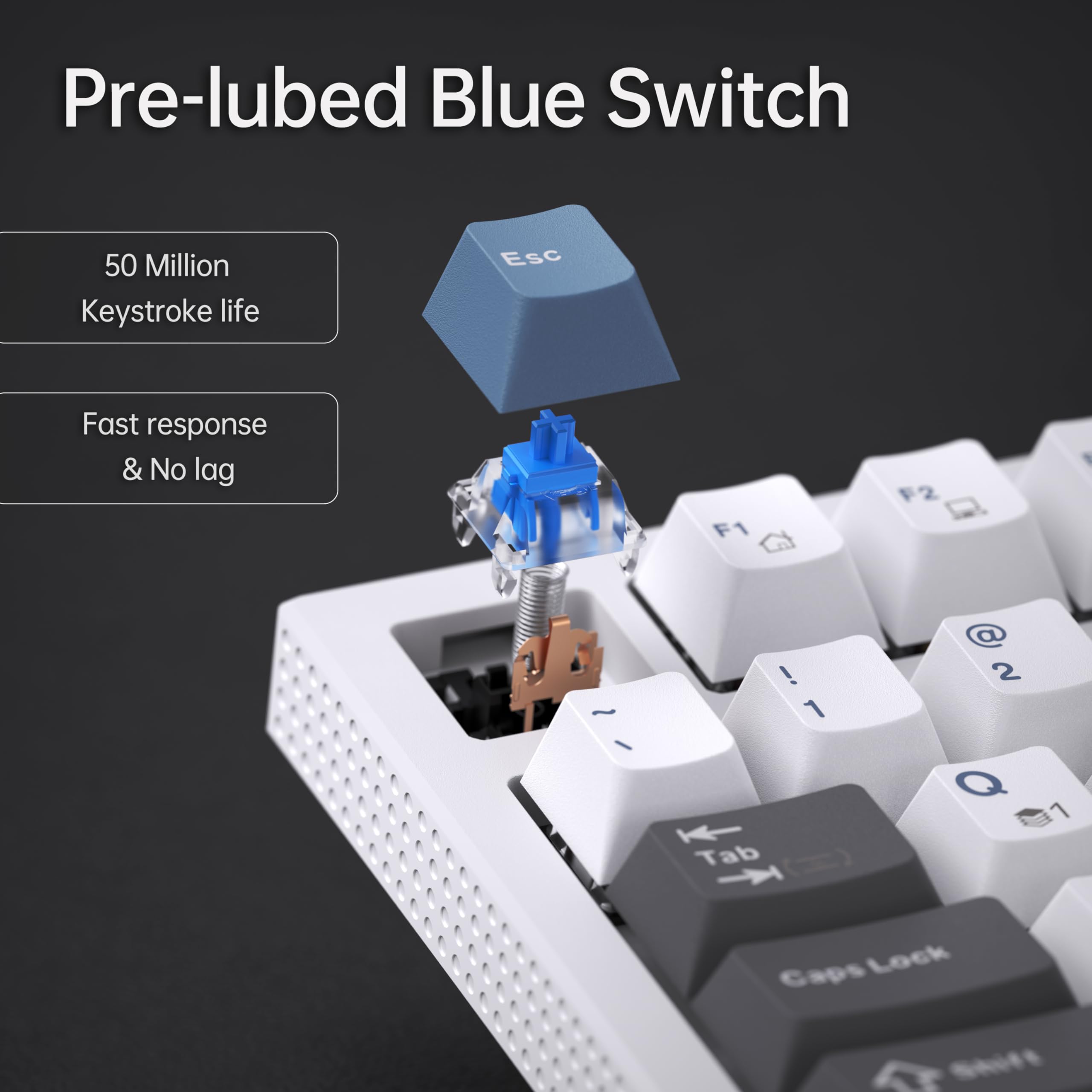 Pre-lubed Blue Switch

50 Million Keystroke life

Fast response & No lag