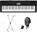 Front. Casio - Portable Keyboard with 61 Touch-Sensitive Keys - Black.