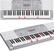 Front. Casio - Portable Keyboard with 61 Full-Size Touch-Sensitive Lighted Piano-Style Keys - Silver.