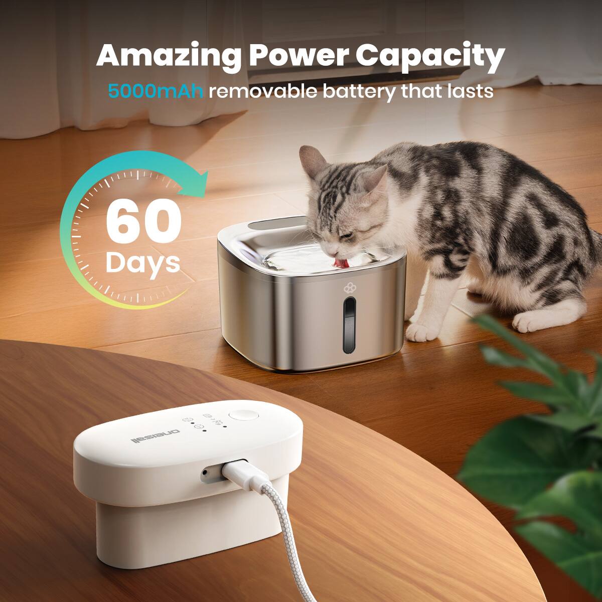 Amazing Power Capacity, 5000mAh removable battery that lasts 60 Days.