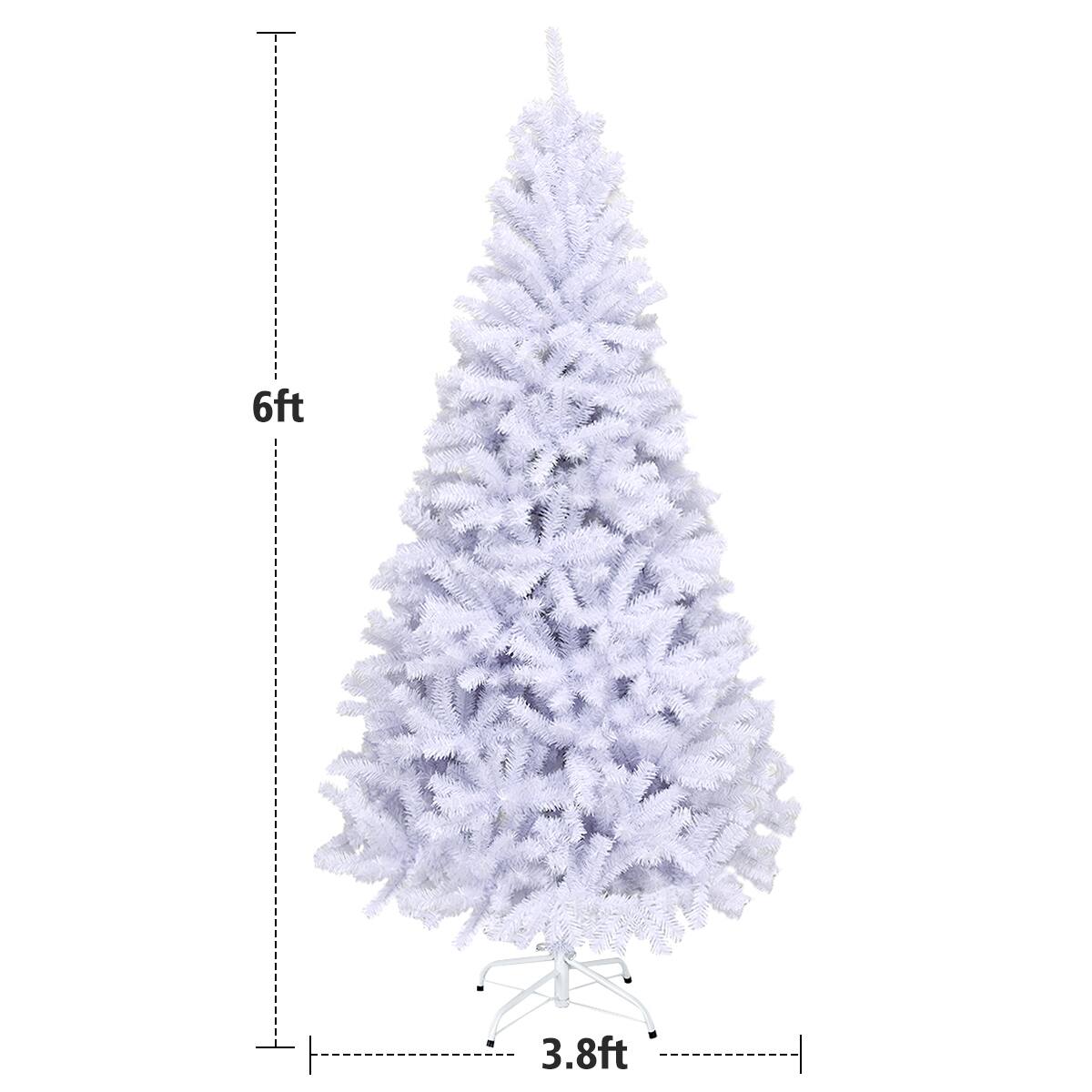 The text on the image reads "6ft 3.8ft," which indicates that the tree is 6 feet tall and 3.8 feet wide.