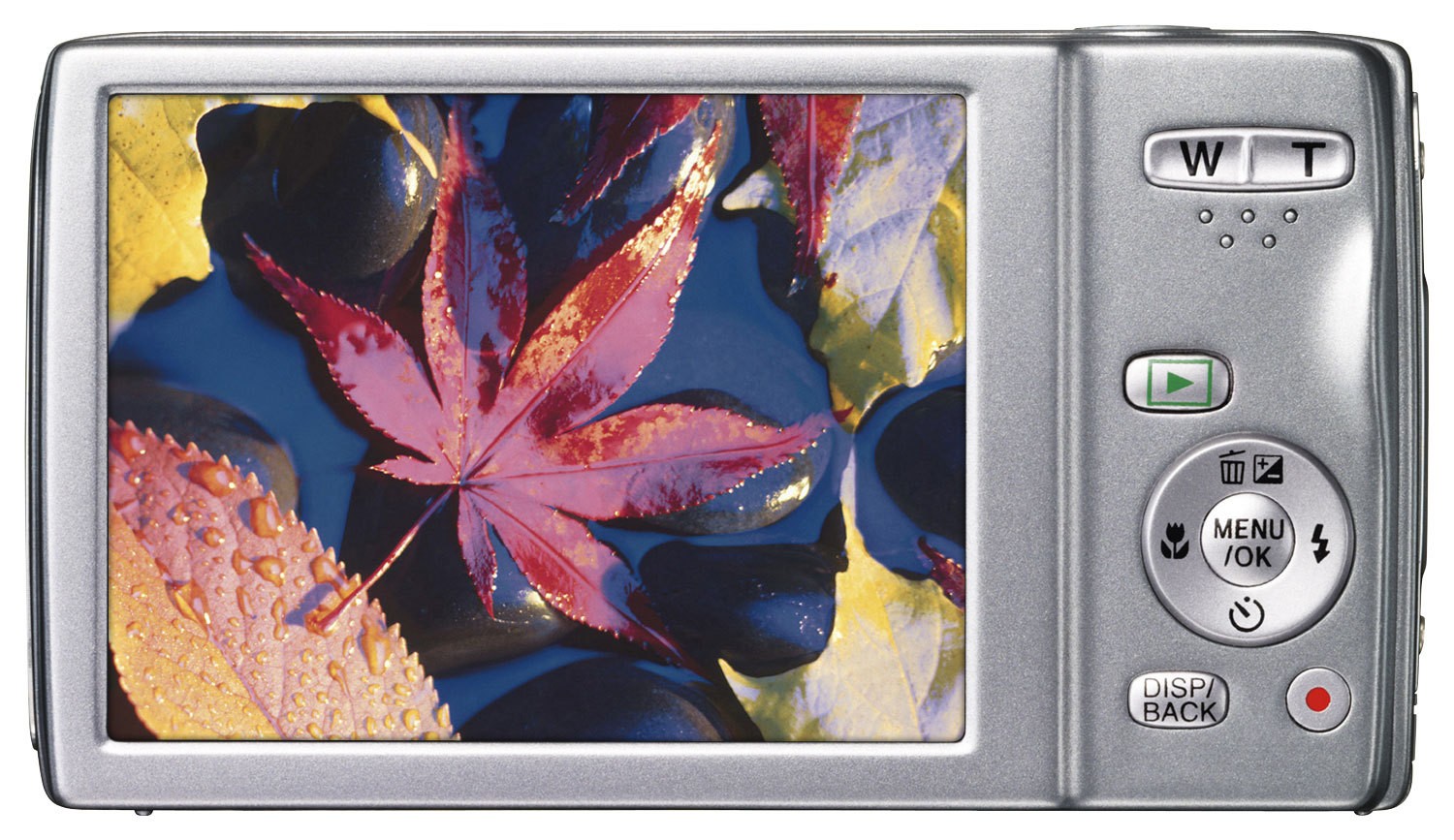 Ja verontschuldigen Uitschakelen Best Buy: Fujifilm FinePix JZ250 16.0-Megapixel Digital Camera Silver JZ250  SILVER