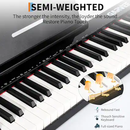 SEMI-WEIGHTED
The stronger the intensity, the louder the sound
Restore Piano Touch
- Rebound Fast
- Touch Sensitive Keyboard
- Full-sized Piano
high range
low