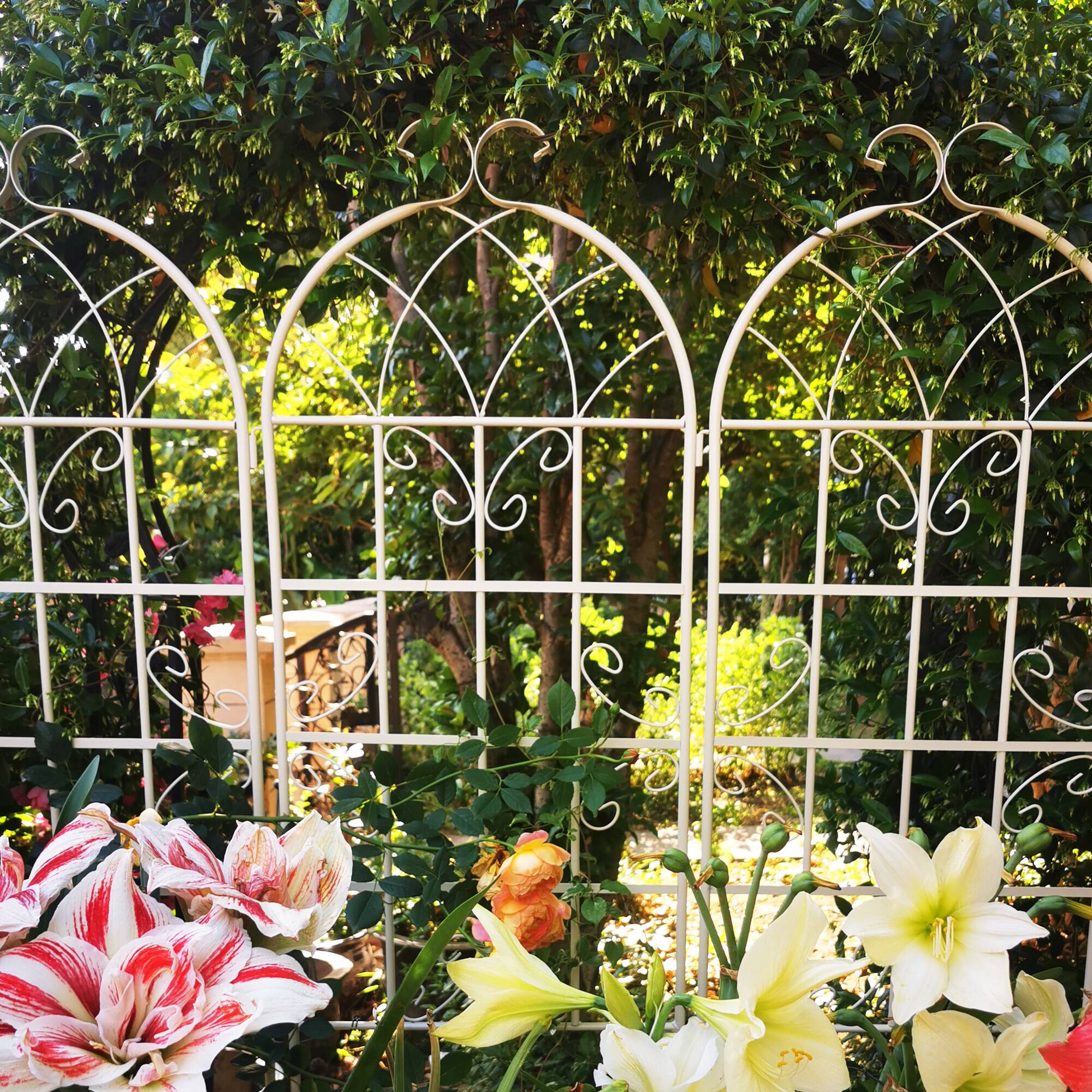 Loheer - Rustproof Metal Garden Trellis 4 Pack 5.9 ft x 1.64 ft for Climbing Plants Outdoor Flower Support - Cream White price history on PriceWatchPro