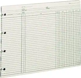Wilson Jones - Ledger Paper, Balance Ledger, 9 1/4" x 11 7/8", 100 Sheets (WLJGN2D) - Green