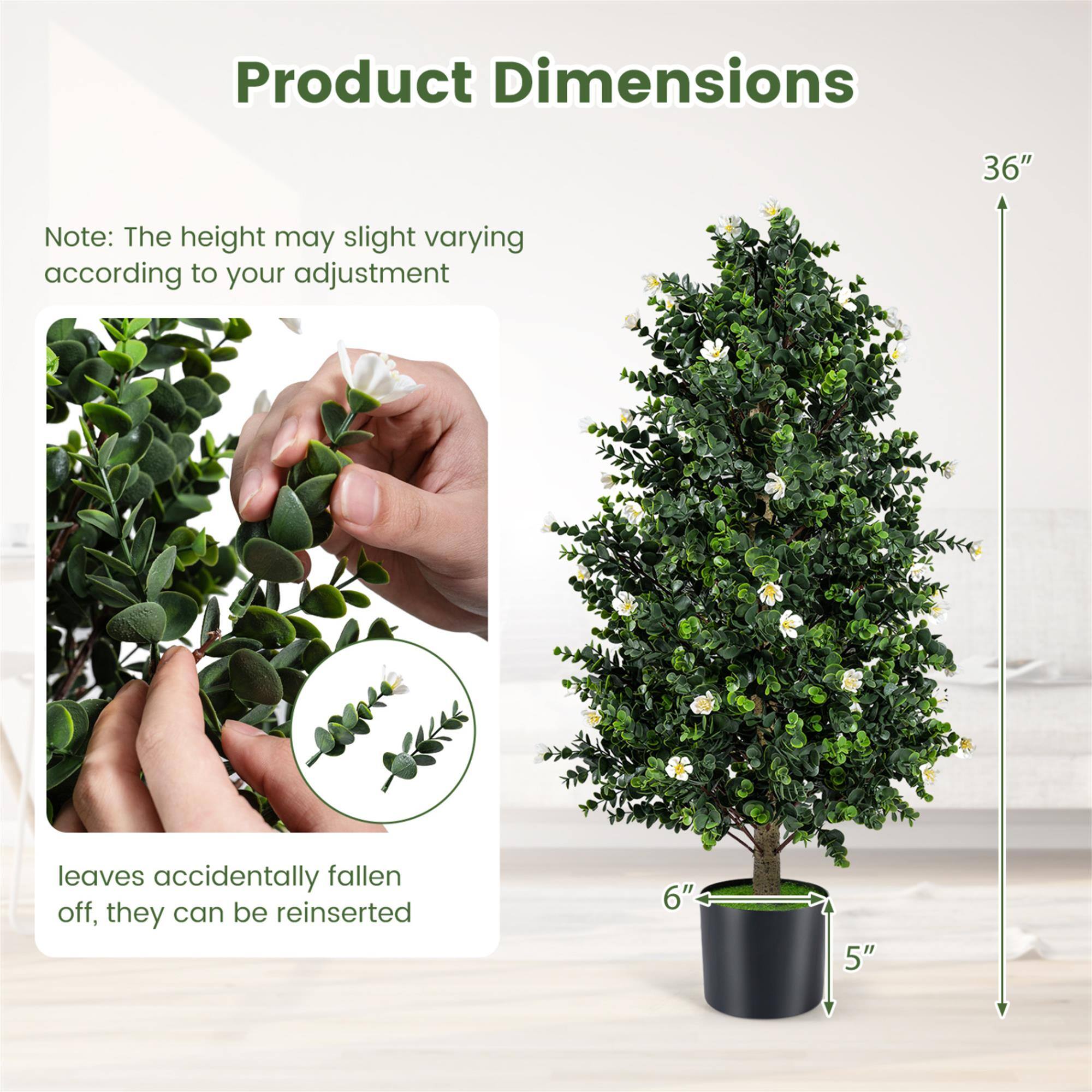 Product Dimensions

36"

Note: The height may slight varying according to your adjustment

leaves accidentally fallen off, they can be reinserted

6"

5"