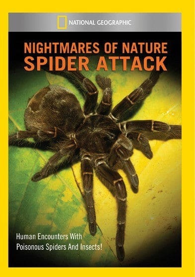 Nightmares of Nature: Spider Attack - DVD