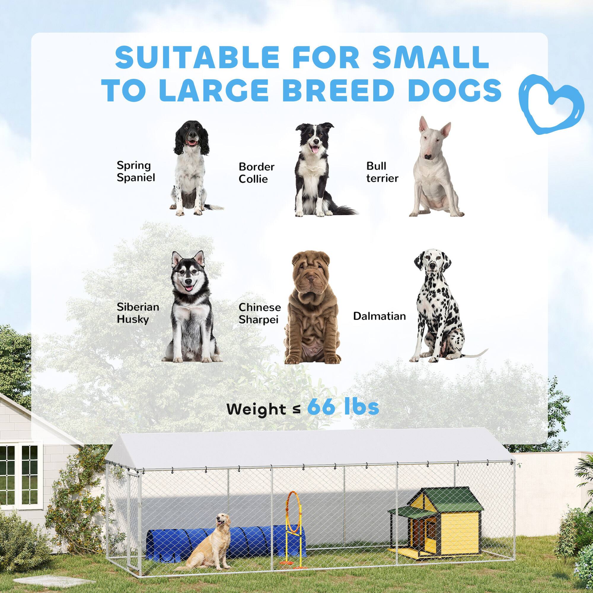 SUITABLE FOR SMALL TO LARGE BREED DOGS

- Spring Spaniel
- Border Collie
- Bull Terrier
- Siberian Husky
- Chinese Shar Pei
- Dalmatian

Weight: 5 - 66 lbs
