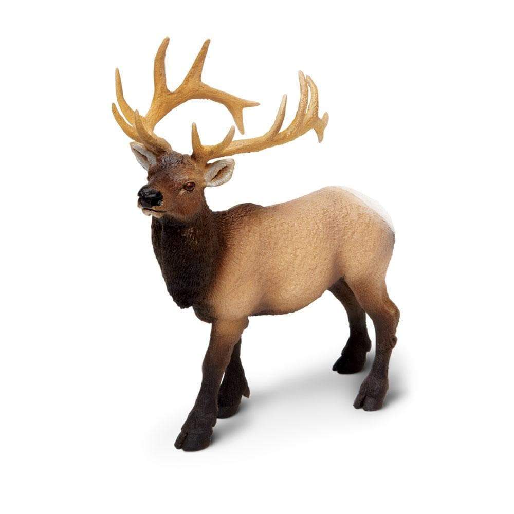 Back. Safari Ltd. - Elk Bull Toy Figurine.