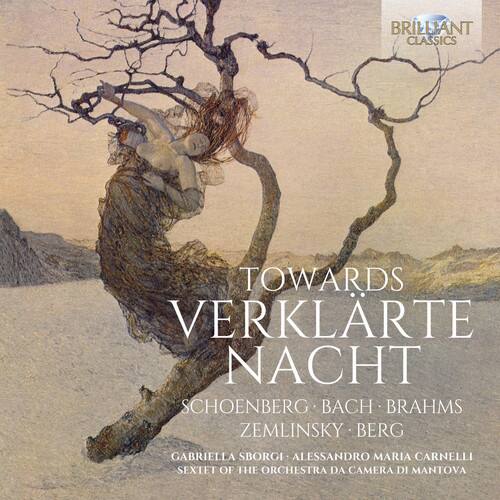 Zemlinsky / Sborgi - Towards Verklarte Nacht   - COMPACT DISCS [CD]