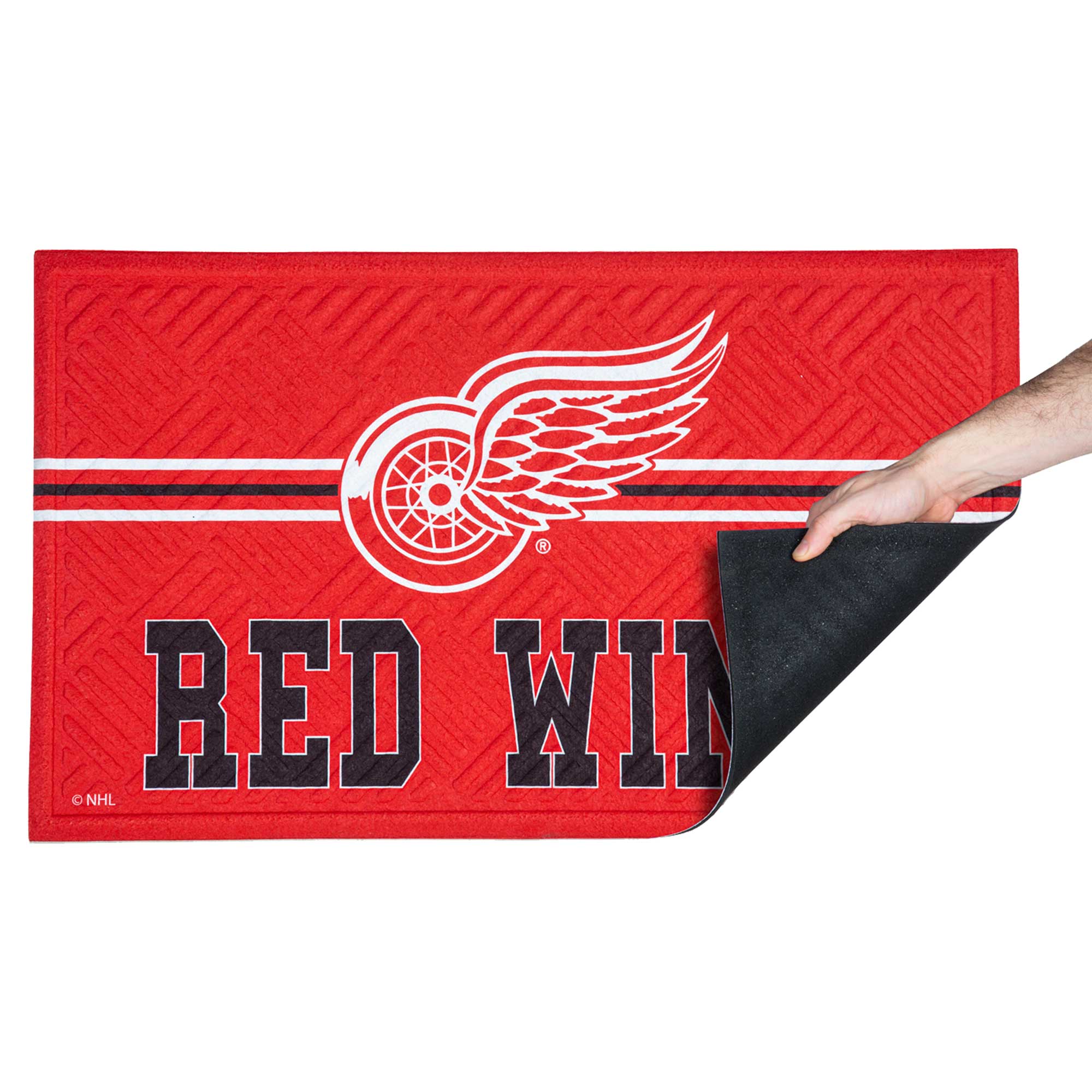 RED WINGS  
NHL