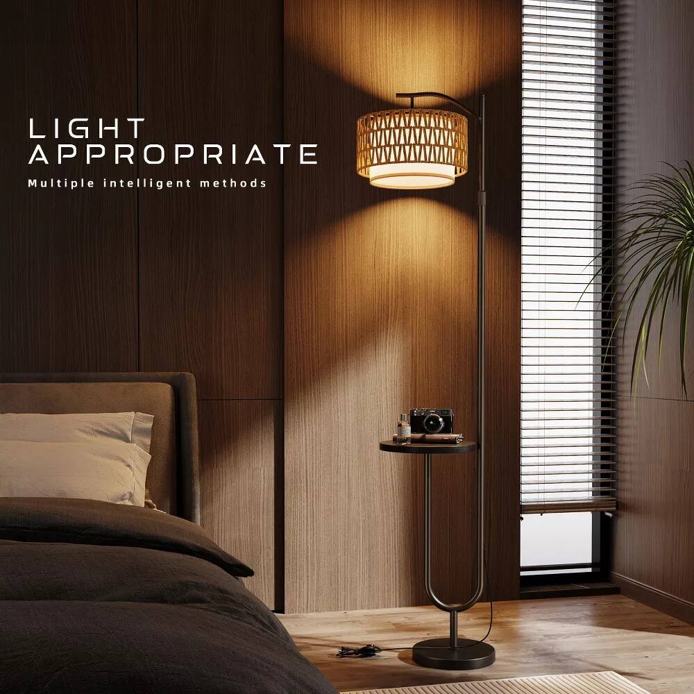 LIGHT APPROPRIATE  
Multiple intelligent methods