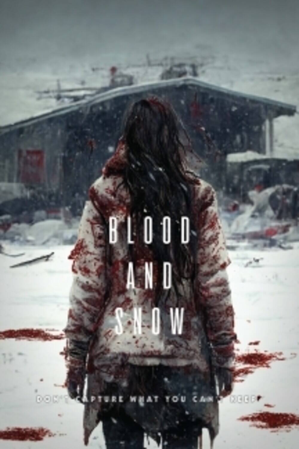Front. Blood And Snow   - BLU-RAY.