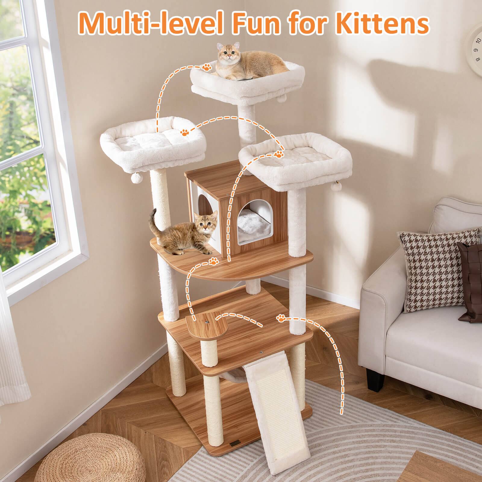 Multi-level Fun for Kittens