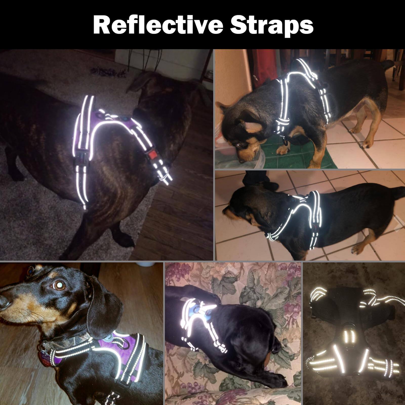 Reflective Straps