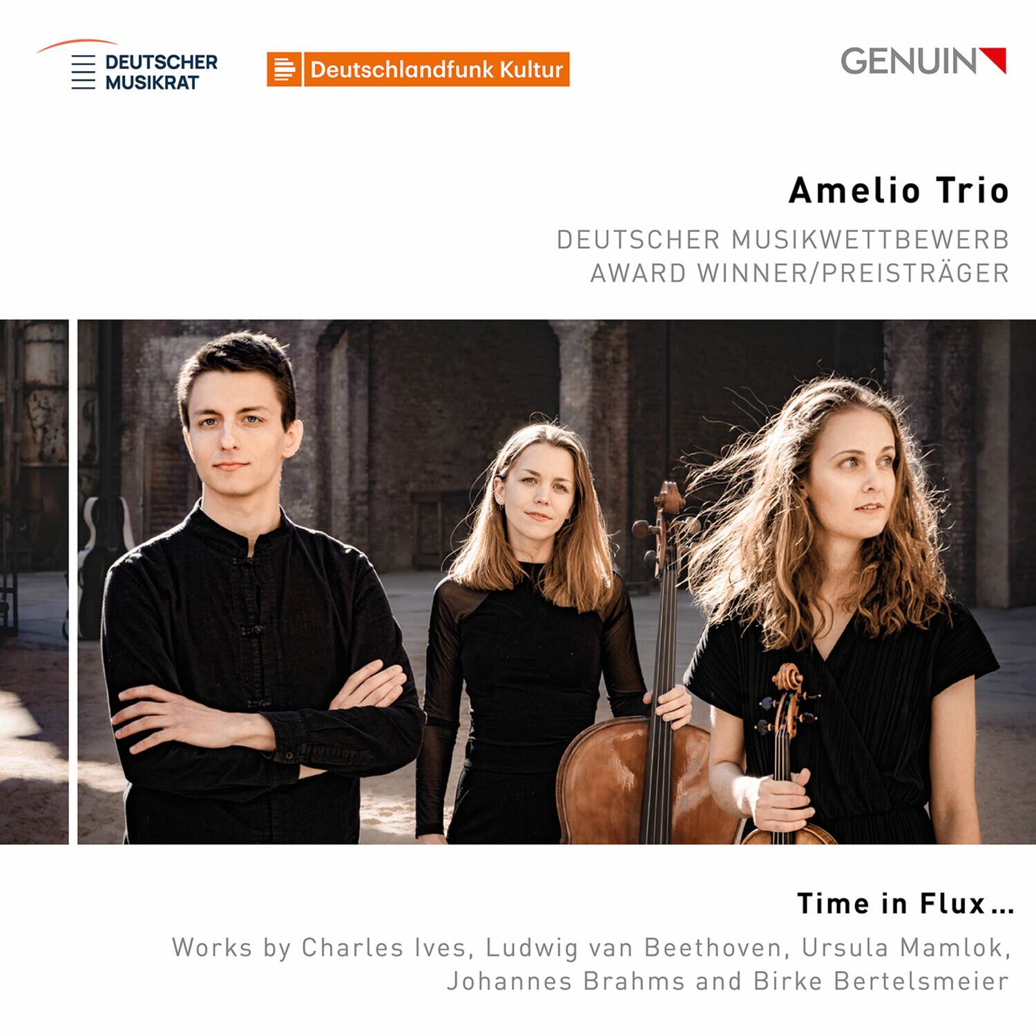 Amelio Trio - Time in Flux…   - COMPACT DISCS [CD] price history on PriceWatchPro