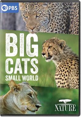 NATURE: Big Cats, Small World - DVD