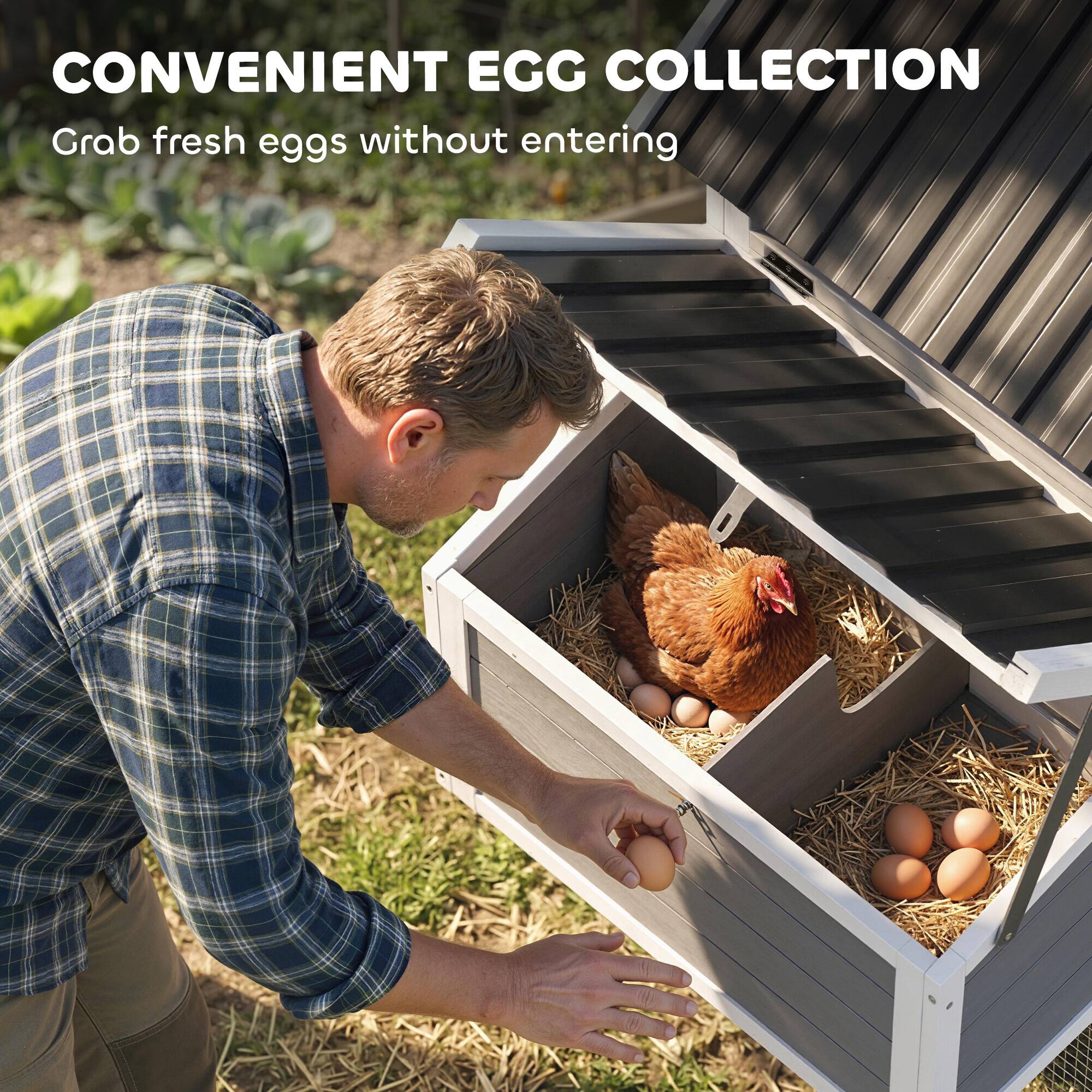 CONVENIENT EGG COLLECTION  
Grab fresh eggs without entering