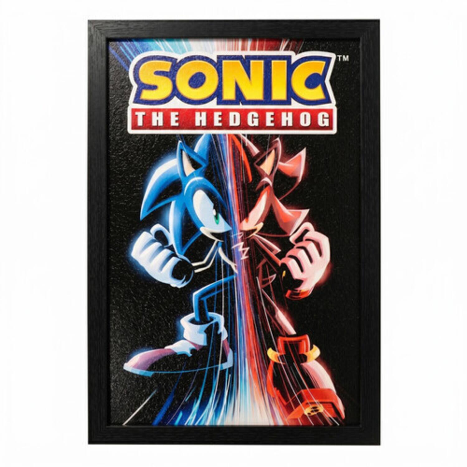 SONIC THE HEDGEHOG