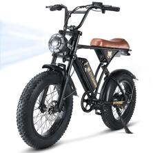 Electric Transportation