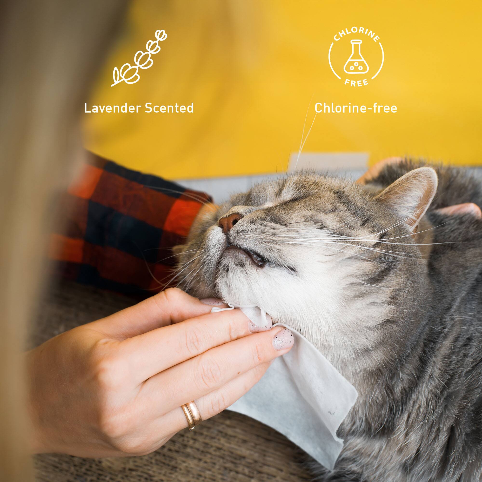 Lavender Scented

Chlorine-free