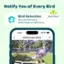 Notify You of Every Bird Bird Detection Blue Jay Detected by Birdfy Feeder at 10:05:56 am. Just Now 10:05 Birdfy Feeder Ebony