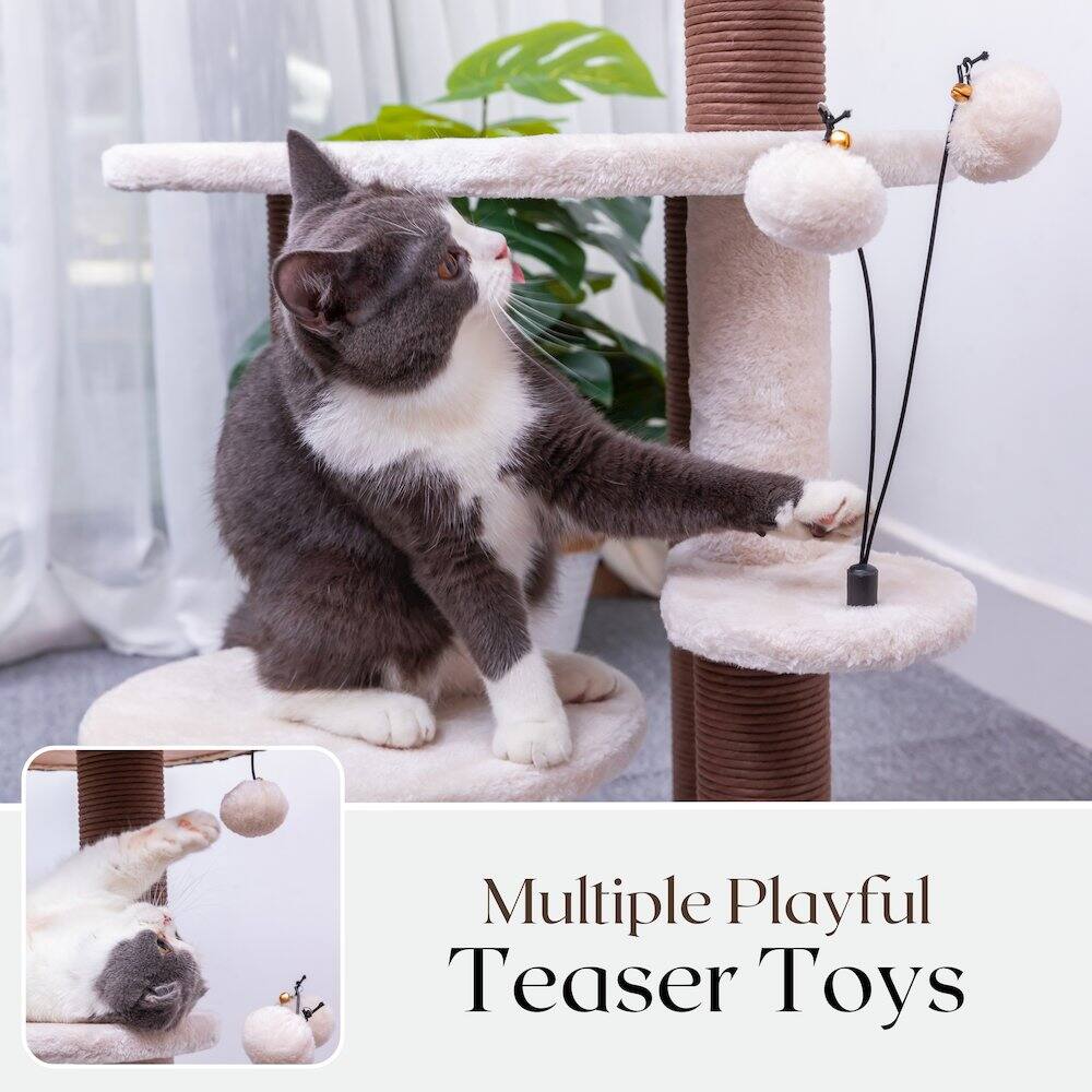 Multiple Playful Teaser Toys