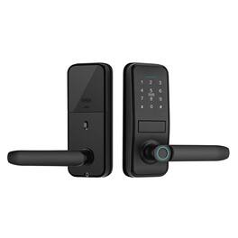 Cluzine - Smart Fingerprint Door Lock,Anti-Theft,Remote Control,Password,For Home,Apartment,B&B