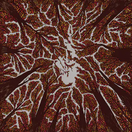 Front. Trash Boat - Crown Shyness - VINYL LP.