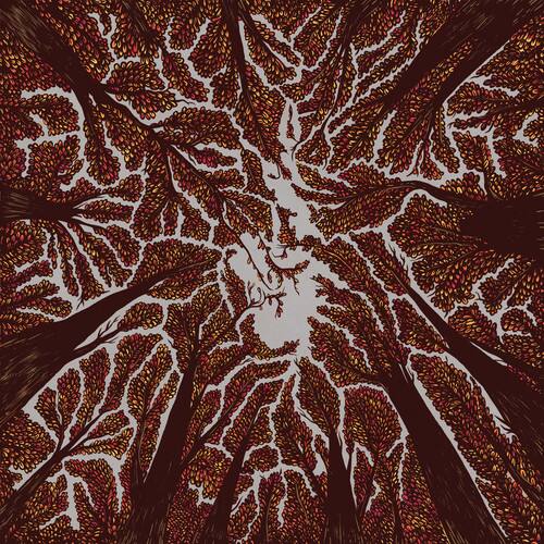 Front. Trash Boat - Crown Shyness   - VINYL LP.