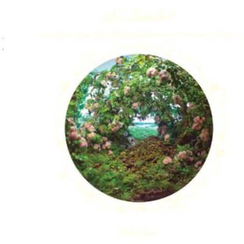 John Zorn - In Lambeth: Visions from the Walled Garden of   - COMPACT DISCS [CD] price history on PriceWatchPro