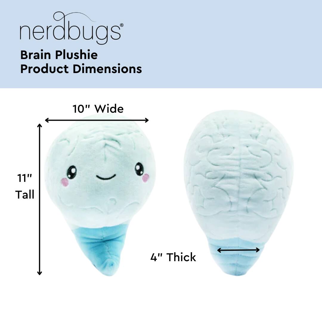 nerdbugs®  
Brain Plushie  
Product Dimensions  

10" Wide  
11" Tall  
4" Thick