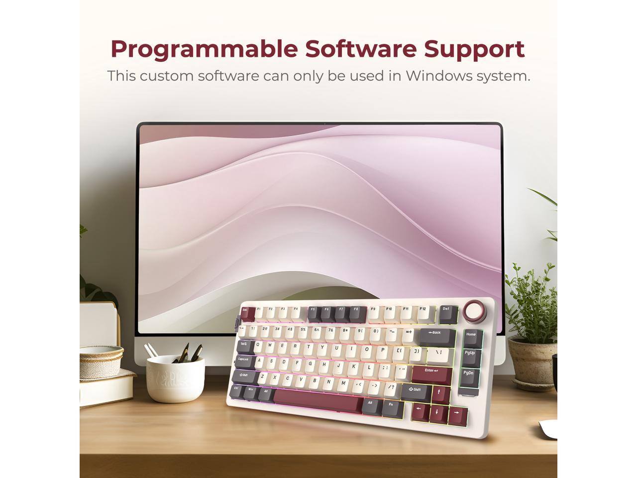 Programmable Software Support  
This custom software can only be used in Windows system.