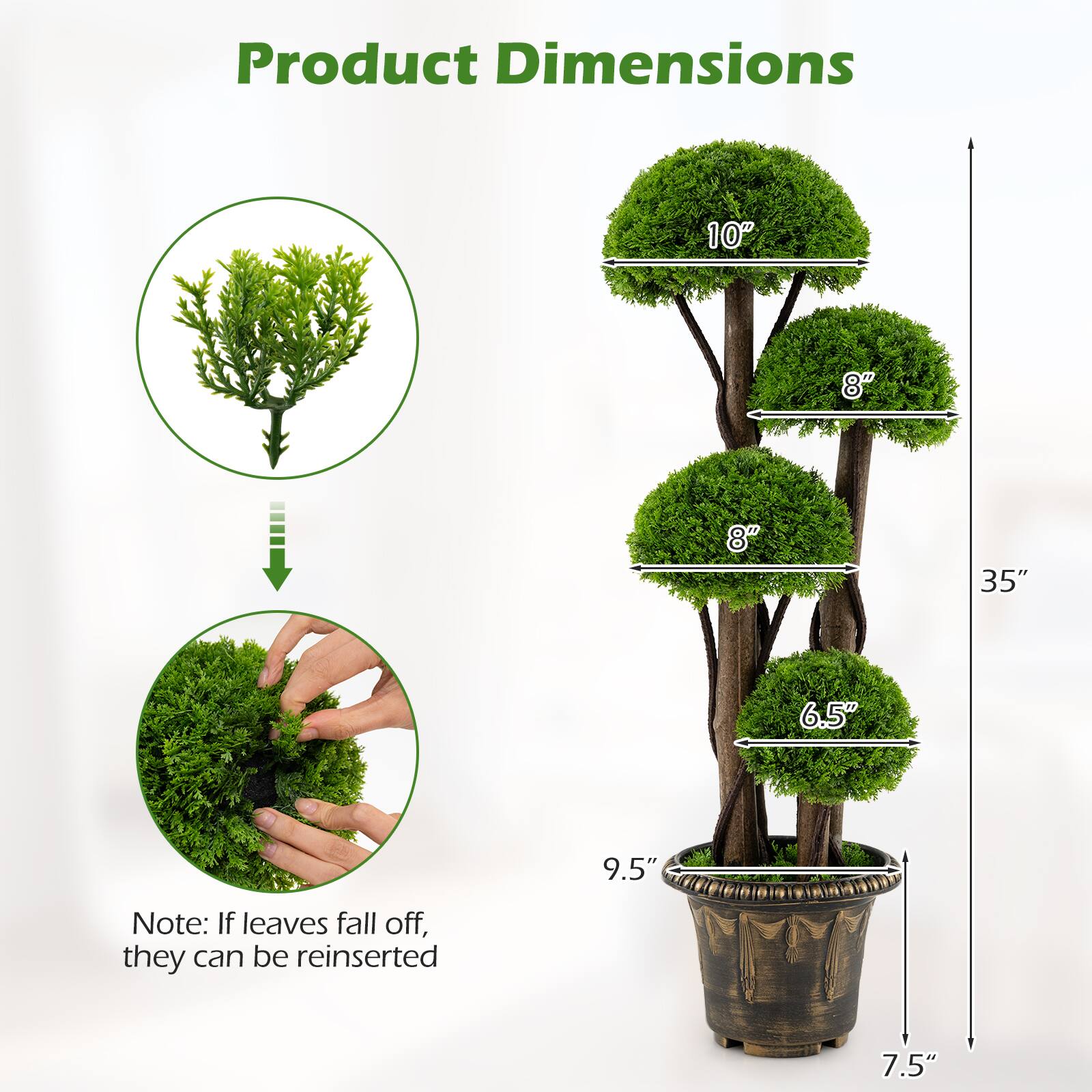 Product Dimensions: 10" x 8" x 8" x 35" x 6.5" x 9.5"  
Note: If leaves fall off, they can be reinserted.