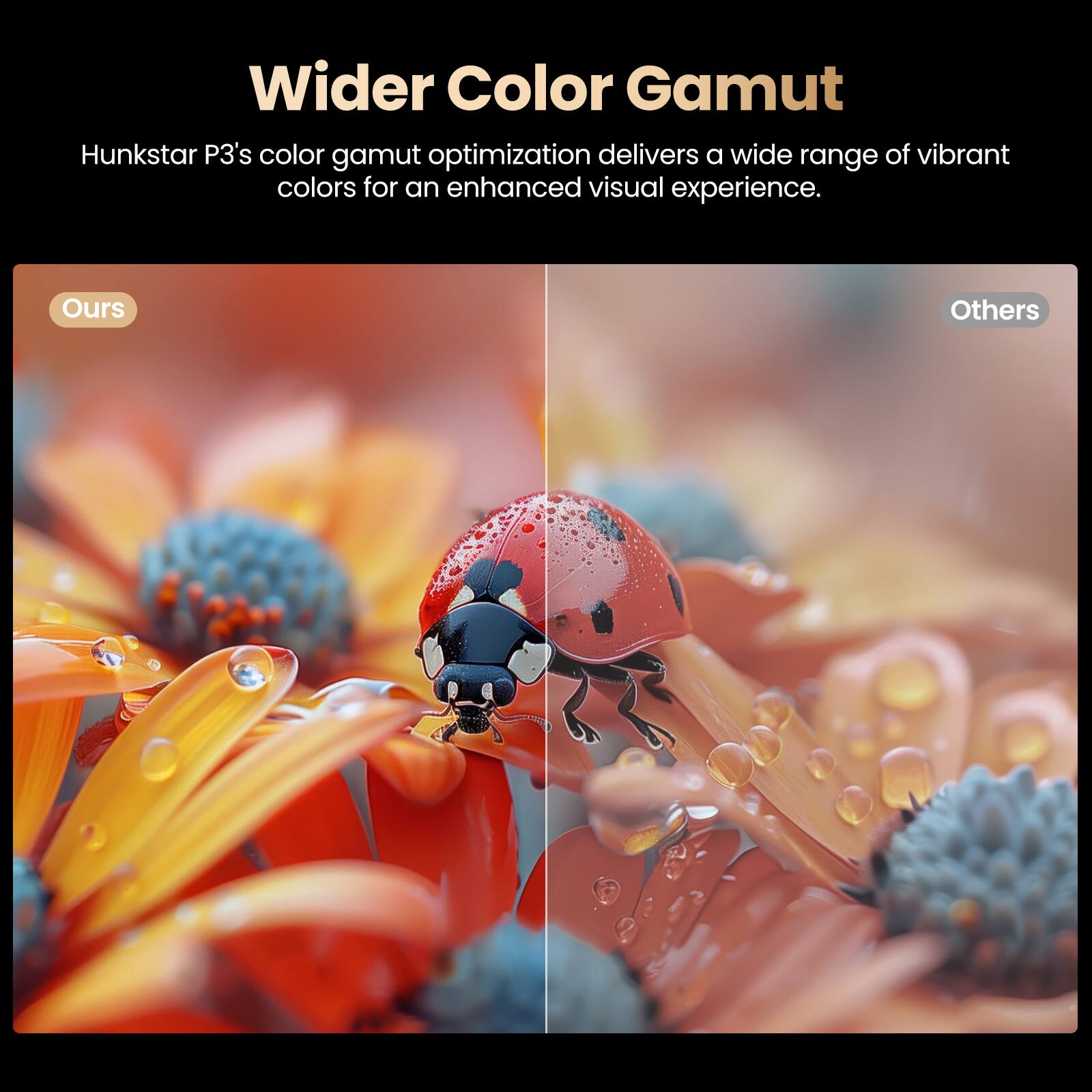 Wider Color Gamut

Hunkstar P3's color gamut optimization delivers a wide range of vibrant colors for an enhanced visual experience.

Ours Others