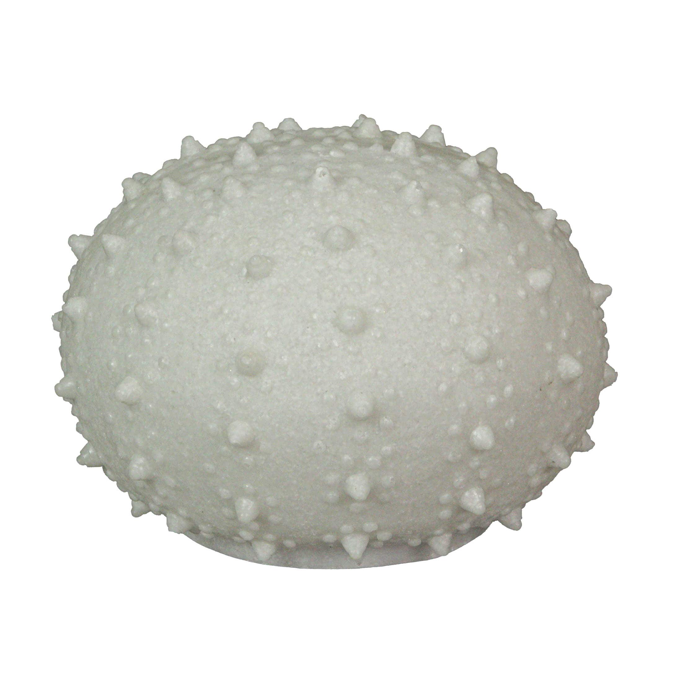 Contrast Inc. - 7 Inch Resin LED Sea Urchin Accent Lamp Decorative Sea Table Light Nautical Home Decor - White