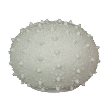 Front. Contrast Inc. - 7 Inch Resin LED Sea Urchin Accent Lamp Decorative Sea Table Light Nautical Home Decor - White.