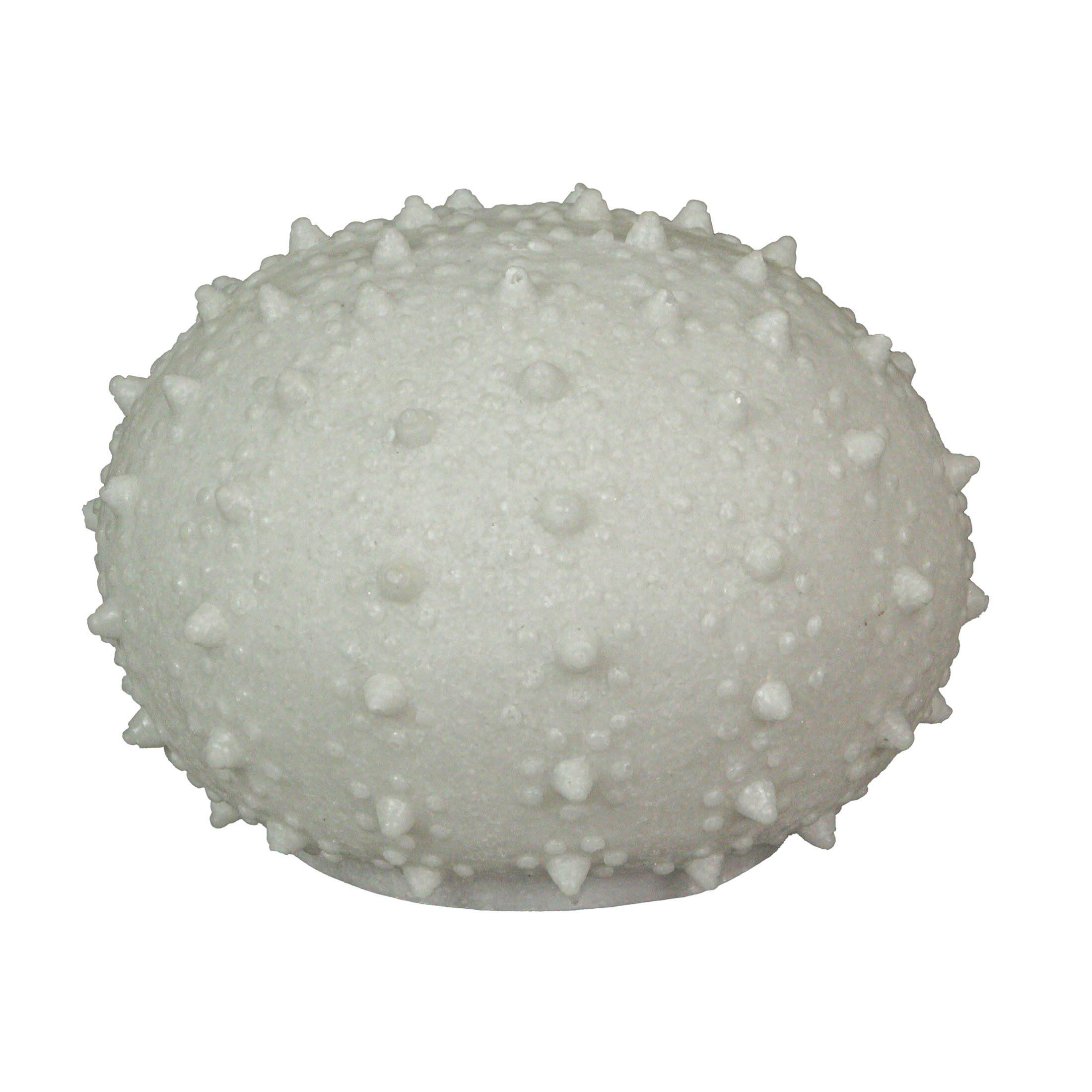 Front. Contrast Inc. - 7 Inch Resin LED Sea Urchin Accent Lamp Decorative Sea Table Light Nautical Home Decor - White.
