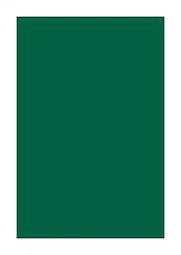 Southwest School Supply - Spectra Deluxe Bleeding Art Tissue, 20" x 30", 24 Sheets/Pack (P0059132) - Emerald Green