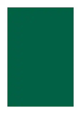 Front. Southwest School Supply - Spectra Deluxe Bleeding Art Tissue, 20" x 30", 24 Sheets/Pack - Emerald Green.