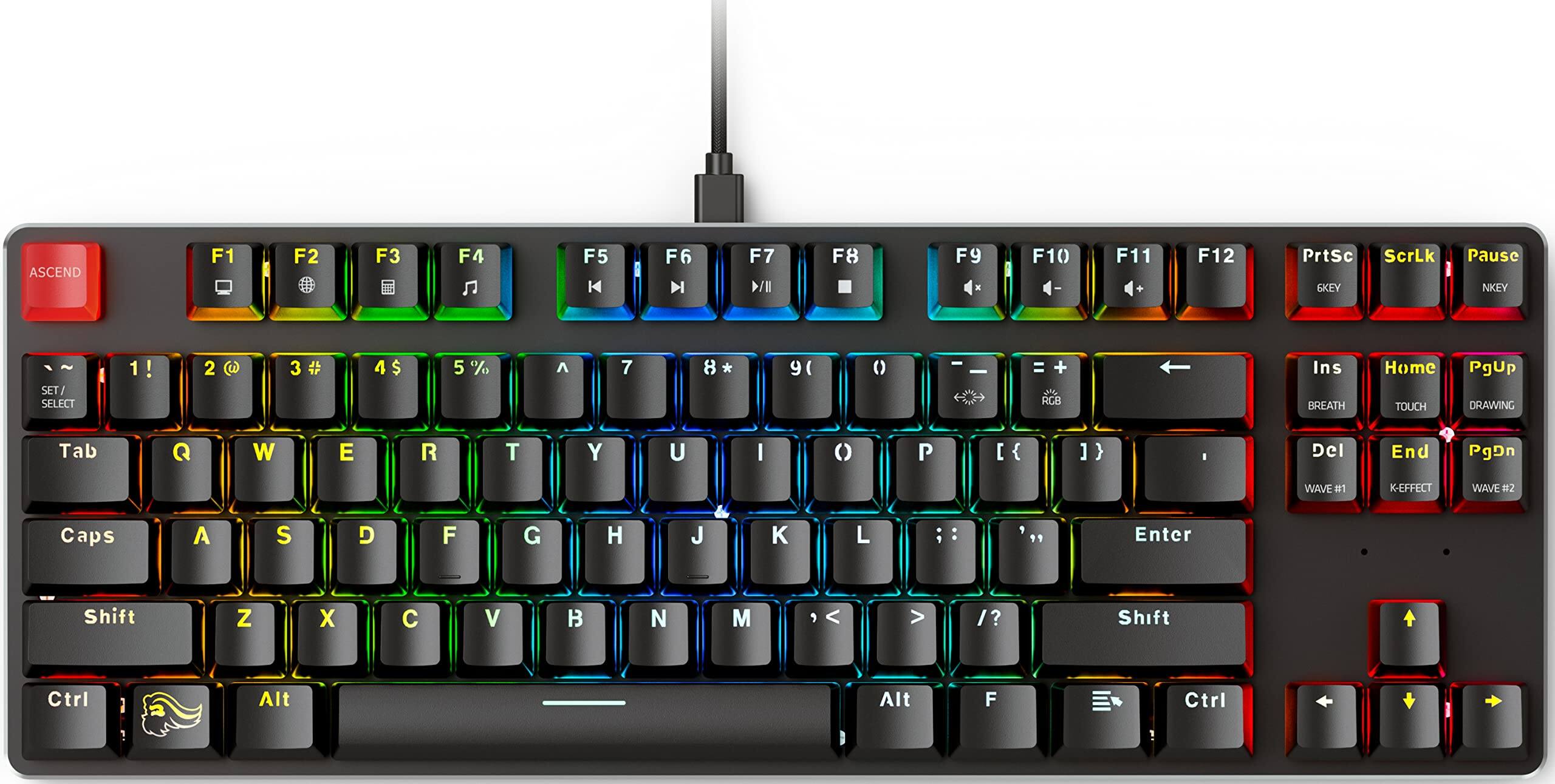 VEGA AUTOMOTIVE - Gmmk Modular Mechanical Gaming Tenkeyless Rgb Led Backlit Switches Hot Swap gmmk tkl brn renewed - Black - Tenkeyless