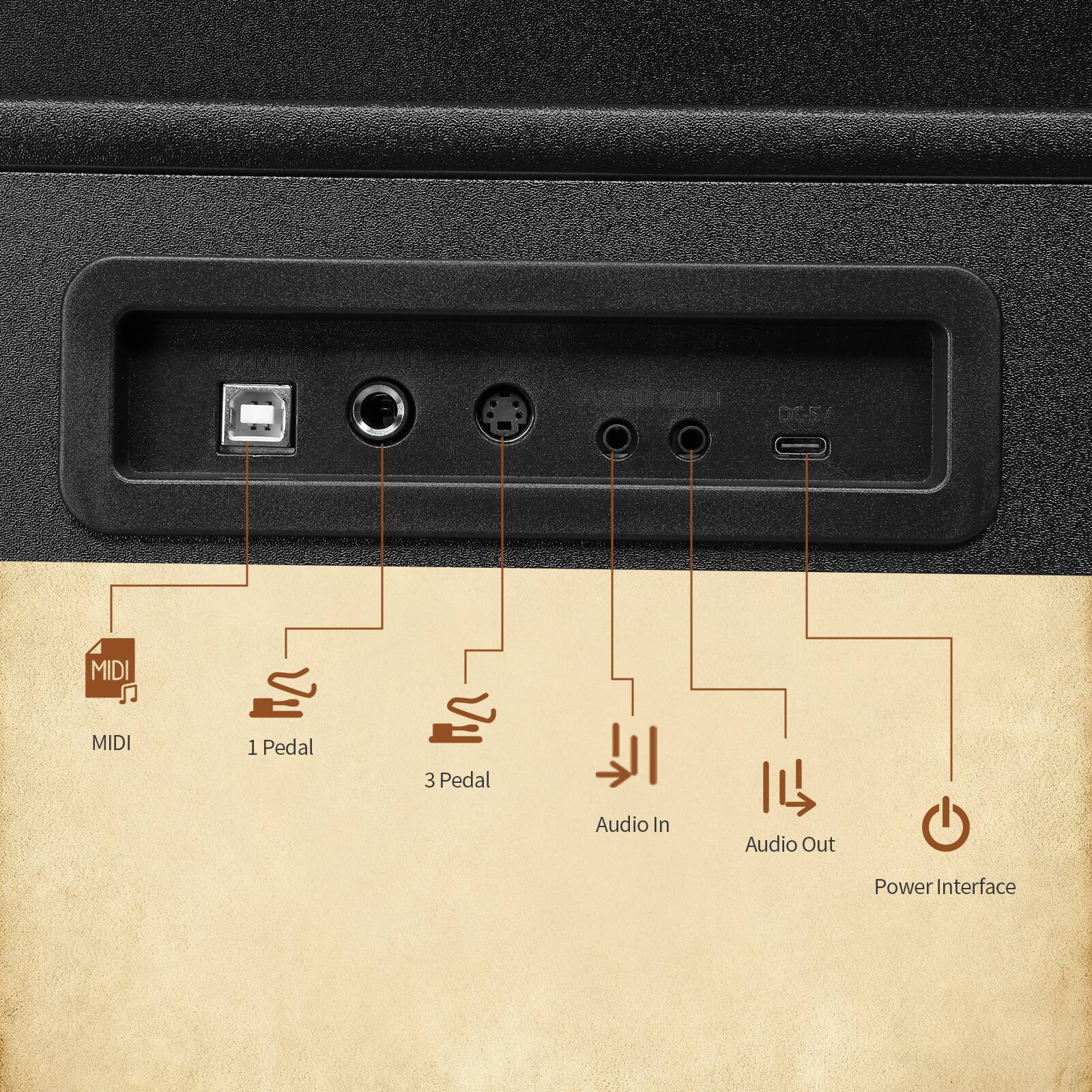 DE5/ MIDI MIDI  
1 Pedal  
3 Pedal  
Audio In  
Audio Out  
Power Interface
