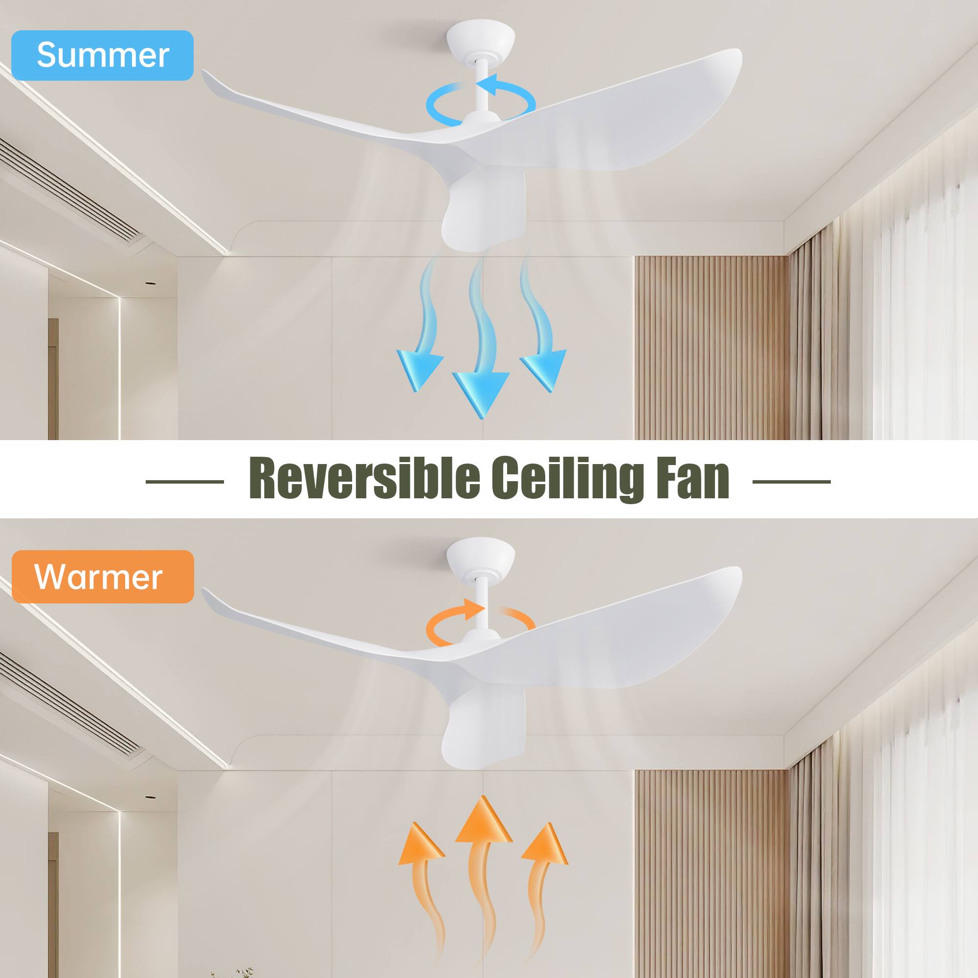 Summer  
Reversible Ceiling Fan  
Warmer