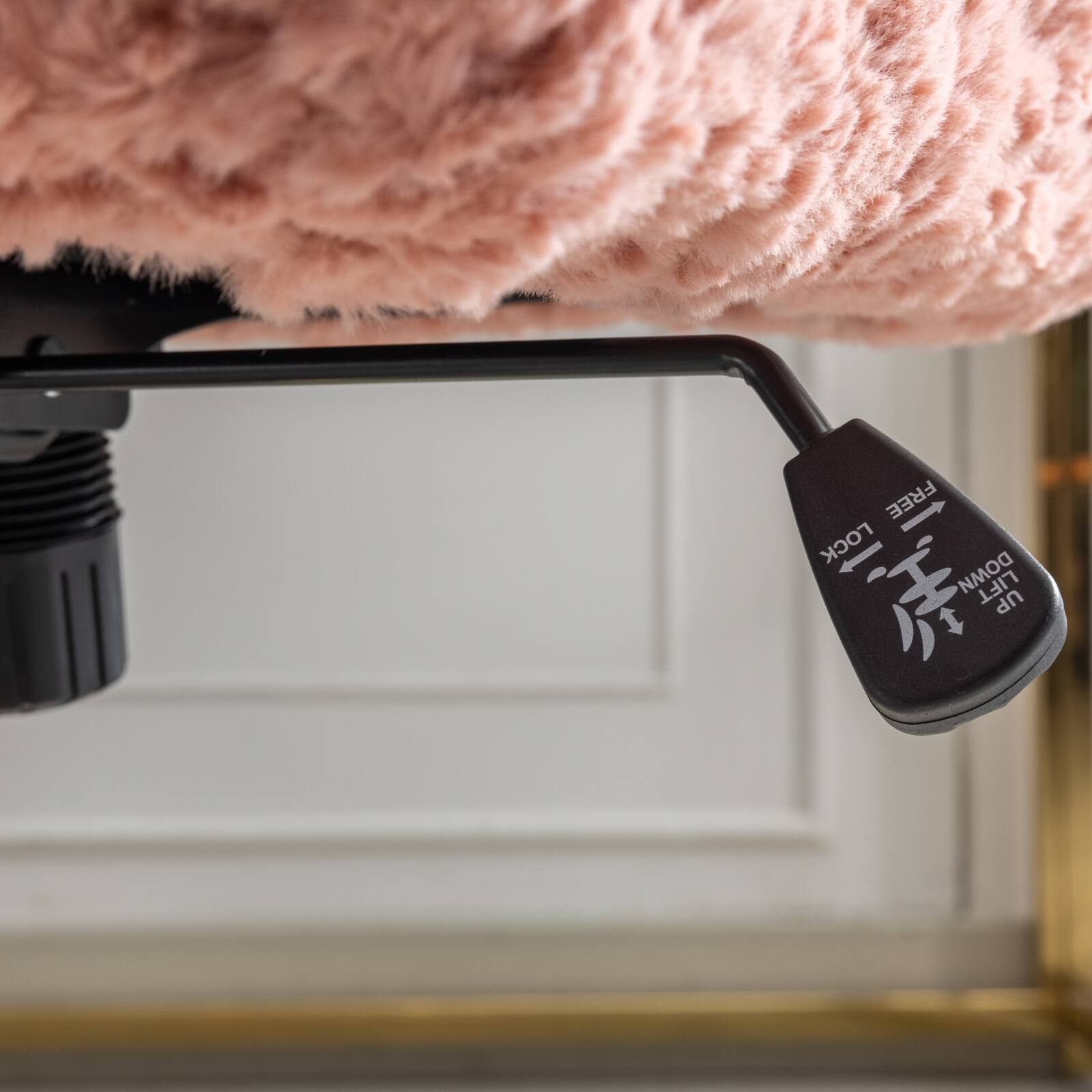 FREE LOCK DOWN LIFT DOOR

LIFT DOWN